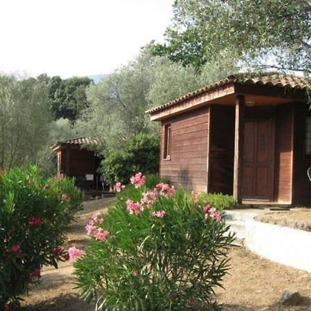 Gites Chalets De Grosseto-Prugna Exteriör bild