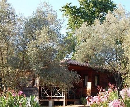 Gites Chalets De Grosseto-Prugna Exteriör bild