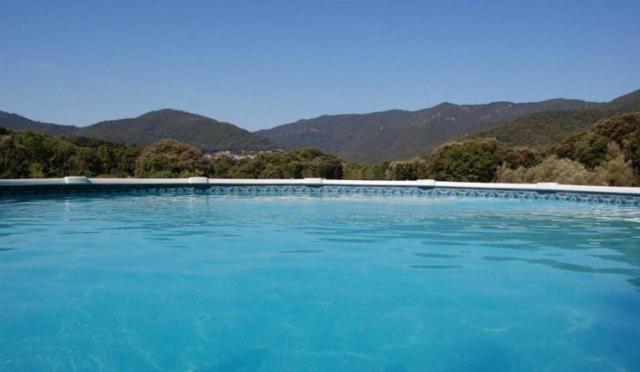 Gites Chalets De Grosseto-Prugna Exteriör bild
