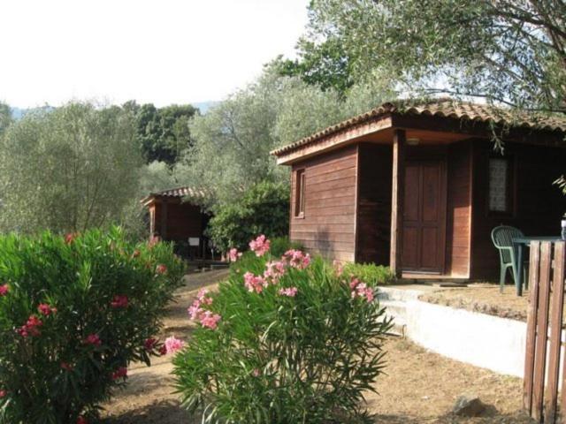 Gites Chalets De Grosseto-Prugna Exteriör bild