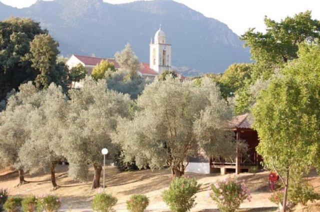 Gites Chalets De Grosseto-Prugna Exteriör bild
