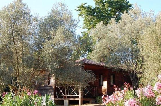 Gites Chalets De Grosseto-Prugna Exteriör bild